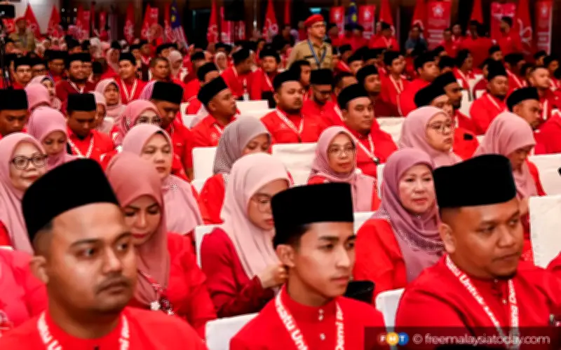 Pergolakan Dalaman Bersatu Hakis Tarikan Kepada Profesional dan Belia