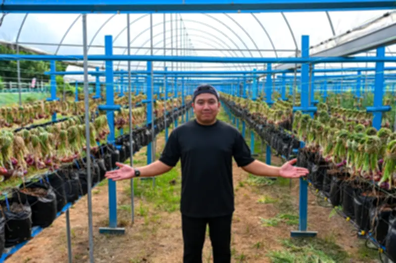 Petani Muda Negeri Sembilan Kembangkan Ladang Bawang Merah Kurangkan Import