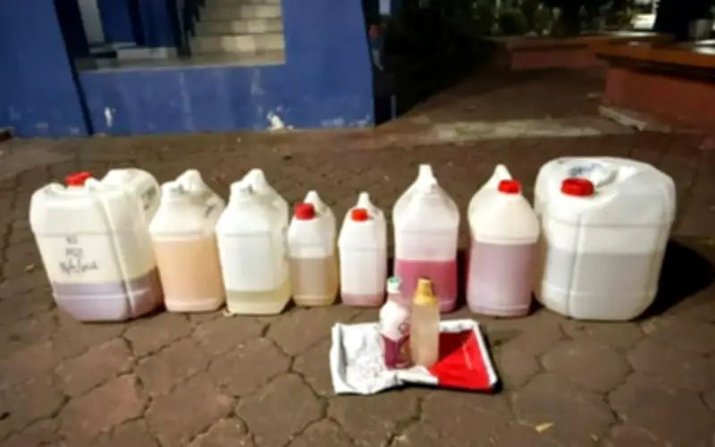 PGA rampas dadah mushroom RM756,000, tahan lelaki 32 tahun