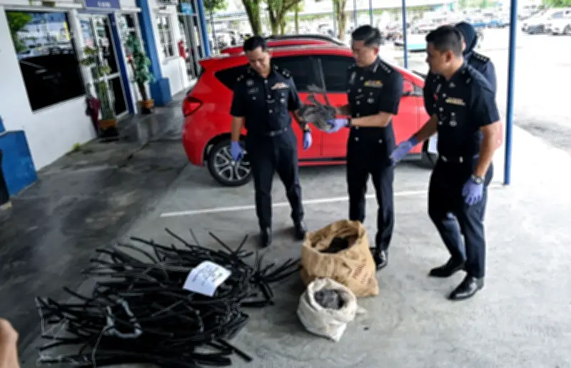 Polis Perak tahan tujuh lelaki kes ragut maut, curi kabel di Teluk Intan