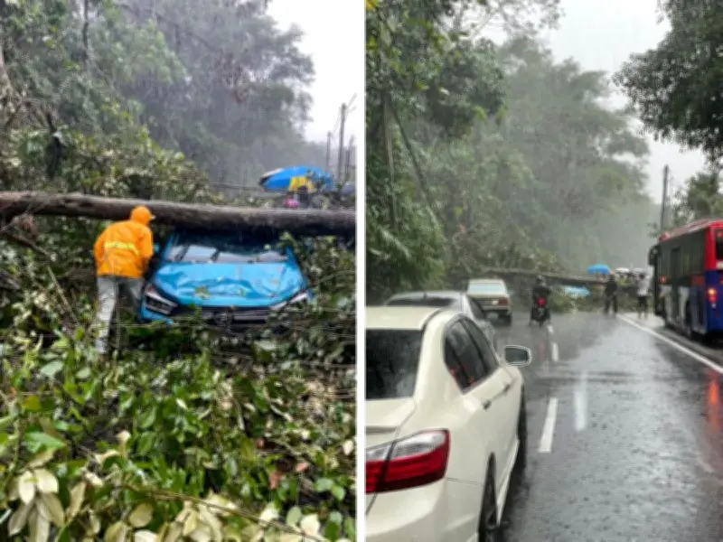 Ribut Malaysia Landa Lembah Klang: Banjir Kilat, Pokok Tumbang, Trafik Sesak
