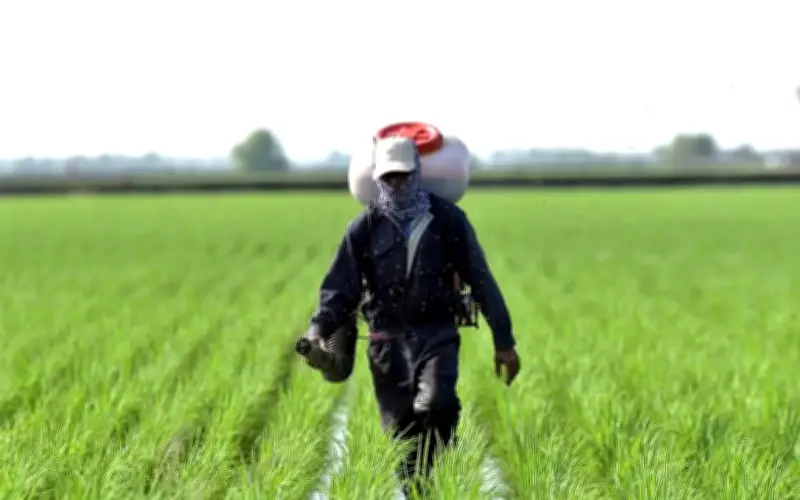 RM200 pendahuluan IPKP ringankan beban pesawah, lancarkan musim tanam