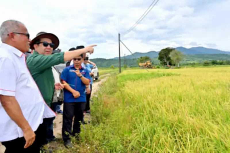 Sabah berpotensi besar tanam jagung bijirin kurangkan import makanan haiwan