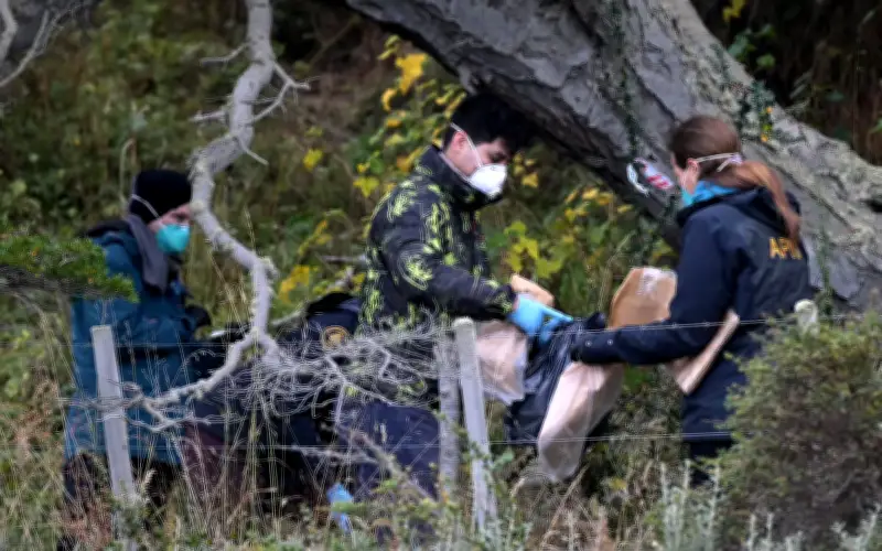 Saintis Argentina kumpul tikus untuk ujian hantavirus