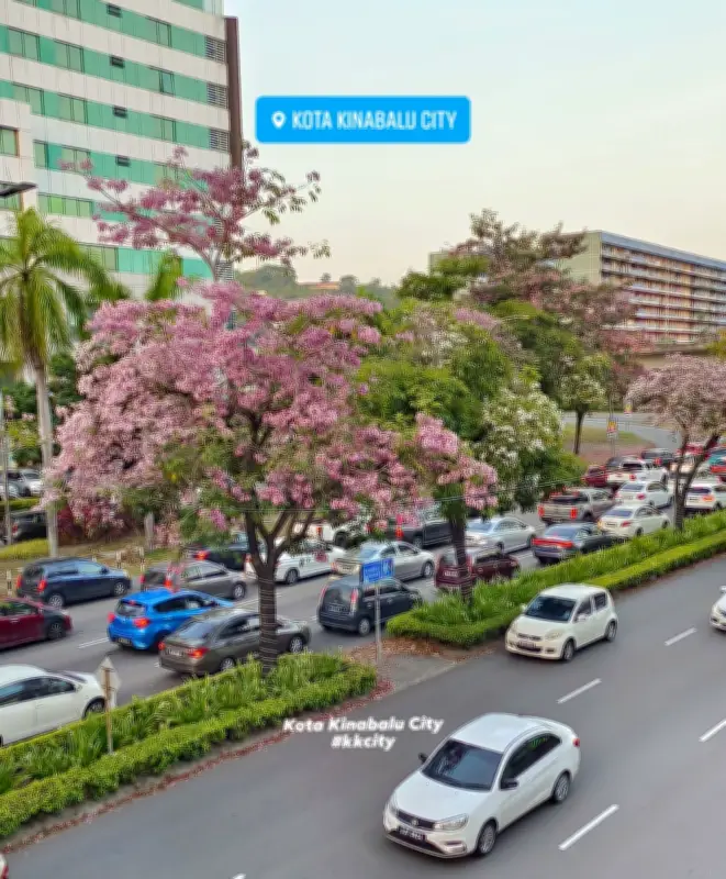 Sembilan pakej Lebuhraya Pan Borneo Sabah dibuka tahun ini