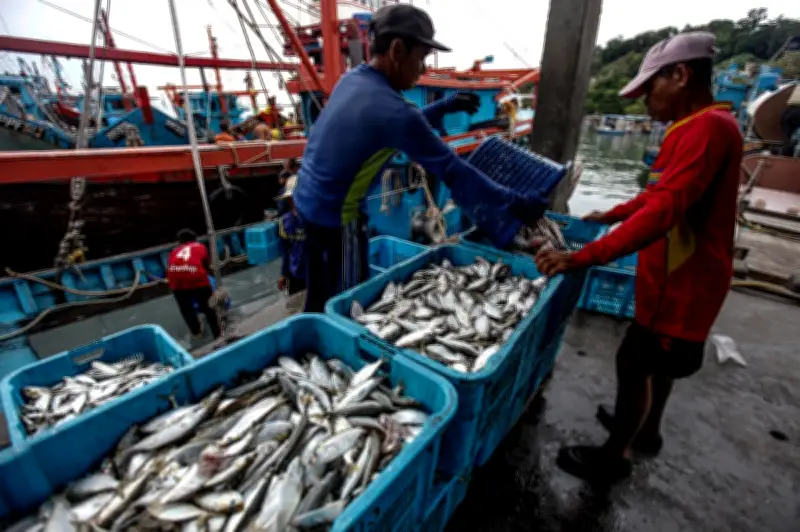 Tangkapan Ikan di Teluk Kumbar dan Batu Maung Kekal Stabil Walaupun Tebus Guna Silicon Island