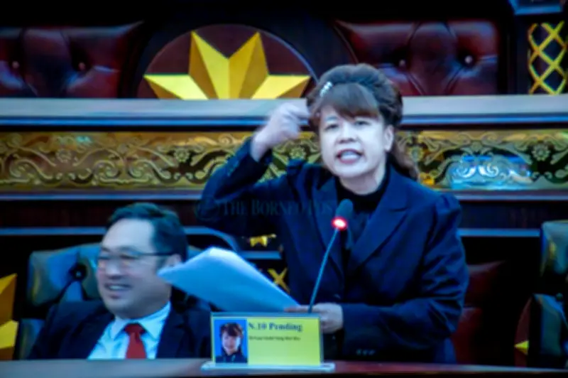 Wakil DAP persoal ketelusan skim pekerja asing Sarawak libatkan RM200j