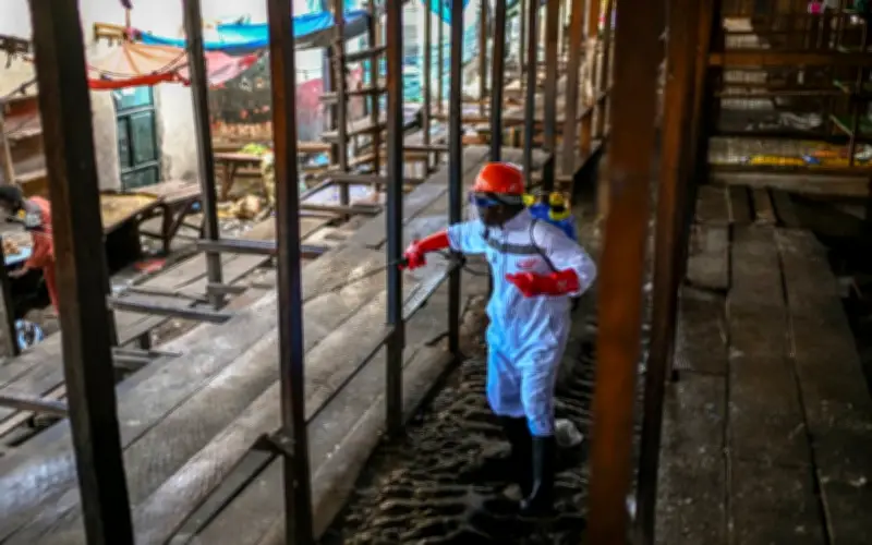 WHO gesa negara jiran DRCongo bertindak segera terhadap risiko Ebola