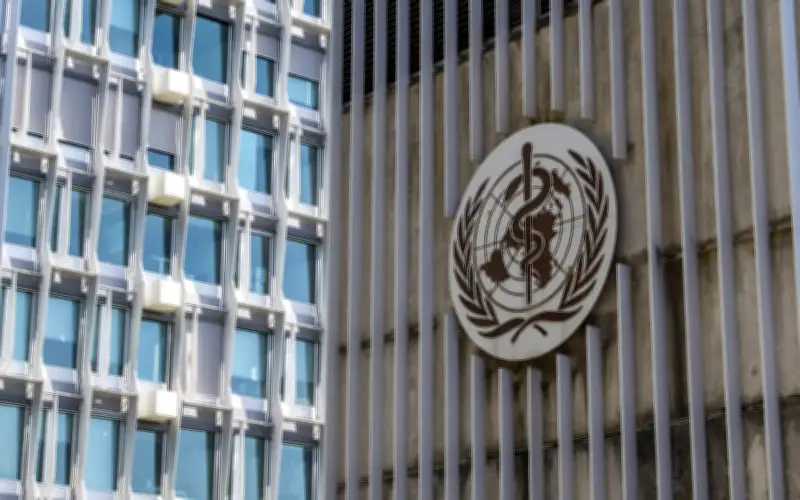 WHO: Risiko wabak hantavirus kepada awam ‘sangat rendah’
