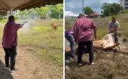 Ahli Parlimen soal MB Perlis tembak lembu tanpa lesen senjata api