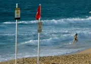 Australia: Lelaki maut diserang yu ketika memancing lembing