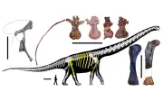 Dinosaur terbesar Asia Tenggara dikenal pasti di Thailand