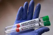 Dua penumpang kapal persiaran negatif hantavirus di Singapura