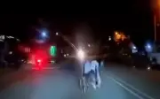 Gelandang di kerusi roda cedera dilanggar kereta di Sungai Petani