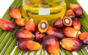 Harga minyak sawit dijangka terus meningkat didorong permintaan biodiesel