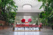 Jewel Changi dihiasi taman bunga Lego gergasi dengan 800,000 bata