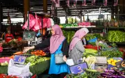 Kenaikan harga sayur sehingga dua kali ganda, kata persatuan petani