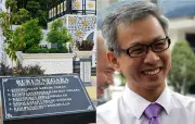 Kenyataan Tony Pua tentang titah diraja cetus kontroversi