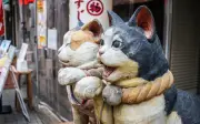 Kucing di Jepun Bukan Sekadar Haiwan, Tapi Pendorong Ekonomi Bernilai RM88 Bilion