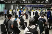 Lelaki Malaysia ditahan di lapangan terbang Bangkok cuba seludup 250 haiwan liar