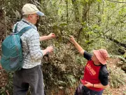 Misteri 12 tahun tumbuhan Sabah akhirnya terungkai