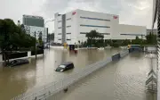 PJ perlukan lebih banyak 'span' hijau untuk cegah banjir, kata pakar