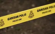 Polis Malaysia beri amaran bahaya gajah selepas lelaki ditemui mati di ladang Gua Musang
