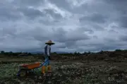 Ribut petir di enam negeri sehingga tengah hari ini