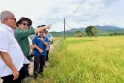 Sabah berpotensi besar tanam jagung bijirin kurangkan import makanan haiwan