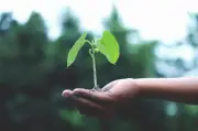 Sudah tiba masanya kita menanam bahan kimia untuk masa depan kita