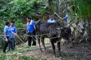 Sumbangan Aidiladha Anwar: 2,000 Orang Asli Ulu Kinta Terima Manfaat