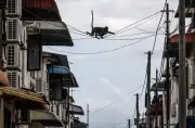 Tali Penyelamat dan Jiran Baik Beri Peluang Kedua Lotong di Pulau Pinang
