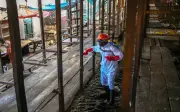 WHO gesa negara jiran DRCongo bertindak segera terhadap risiko Ebola