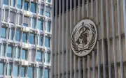 WHO: Risiko Ebola tinggi di peringkat serantau, rendah di peringkat global