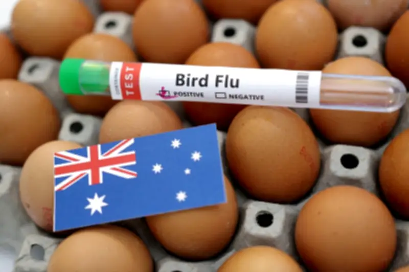 Australia sahkan kes kedua H5N1 dalam tiga hari, perketat kawalan