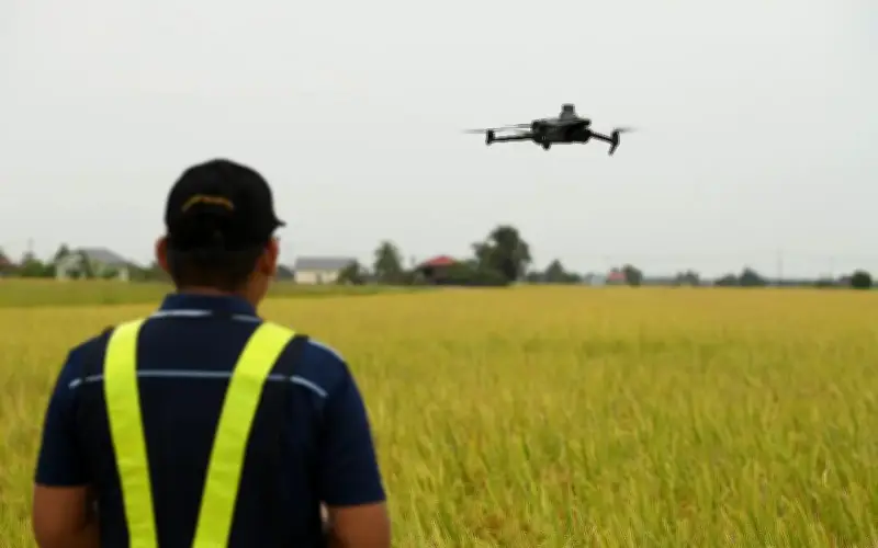Bernas Perluas Penggunaan Dron, Sensor dan AI Tingkatkan Produktiviti Padi