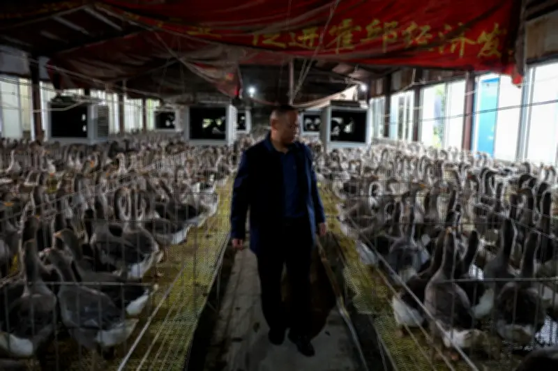 Dulu makan sehari sekali, kini untung foie gras beli Maserati