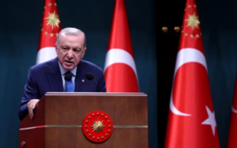Erdogan: Turkiye mesti disertakan dalam struktur keselamatan Eropah