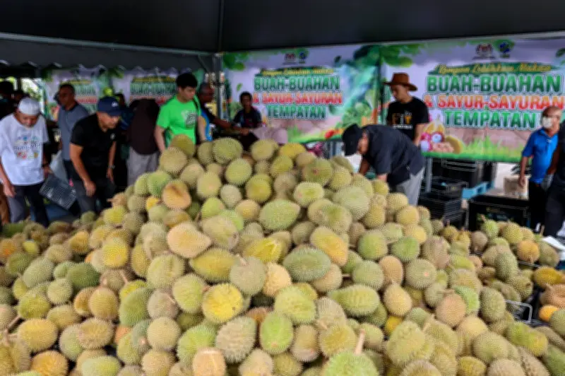Fama Terengganu proses lebih 3 tan durian sehari jadi pulpa atasi lambakan
