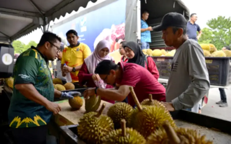 Harga Durian di Pulau Pinang Stabil Walaupun Lebihan di Negeri Lain, Kata Fama