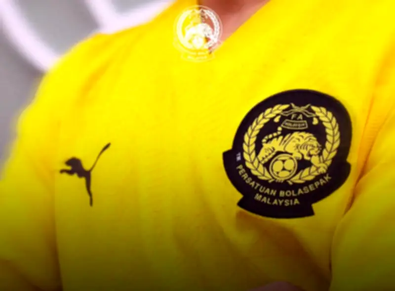 Jurulatih Interim Harimau Malaya Tan Cheng Hoe Hadapi Cabaran Masa