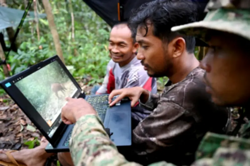 Kamera tersembunyi dan AI dedah hidupan liar jarang di hutan Kemboja