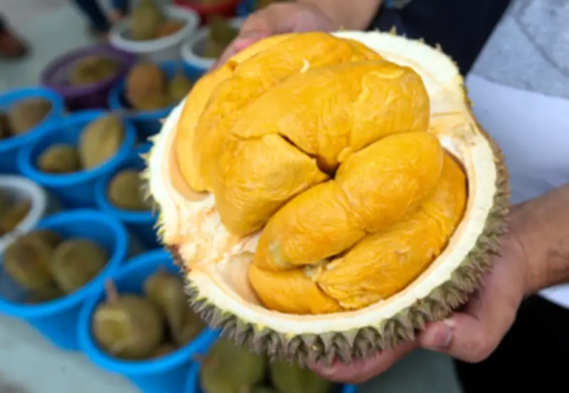 Lebihan Durian Melanda Pulau Pinang: Eksportir Hadapi Kos Tinggi, Harga Jatuh