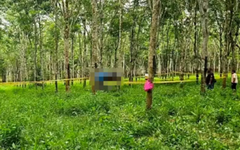 Lelaki Hilang 12 Hari Ditemukan Maut di Ladang Getah Baling