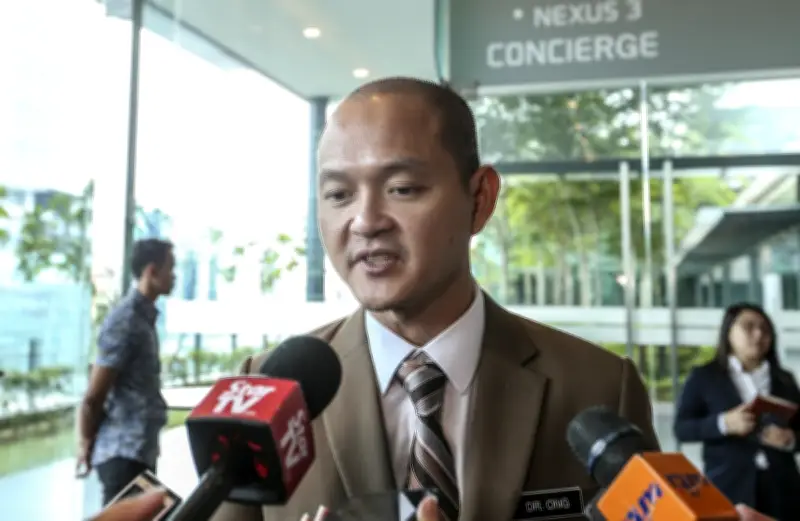 Ong Kian Ming cadang 'warlord' pengaruhi kontroversi kerusi Skudai libat Marina Ibrahim