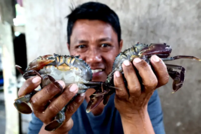 Pertaruhan RM700 dan YouTube Bina Empayar Ketam Salji Lembut di Sandakan