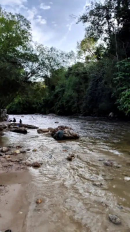Siasatan cirit-birit muntah di Sungai Janda Baik, Pahang tingkatkan pemeriksaan