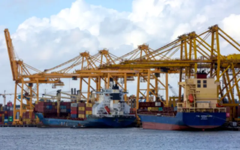 Sri Lanka rancang peraturan kastam, buruh baharu elak tarif AS 12.5%