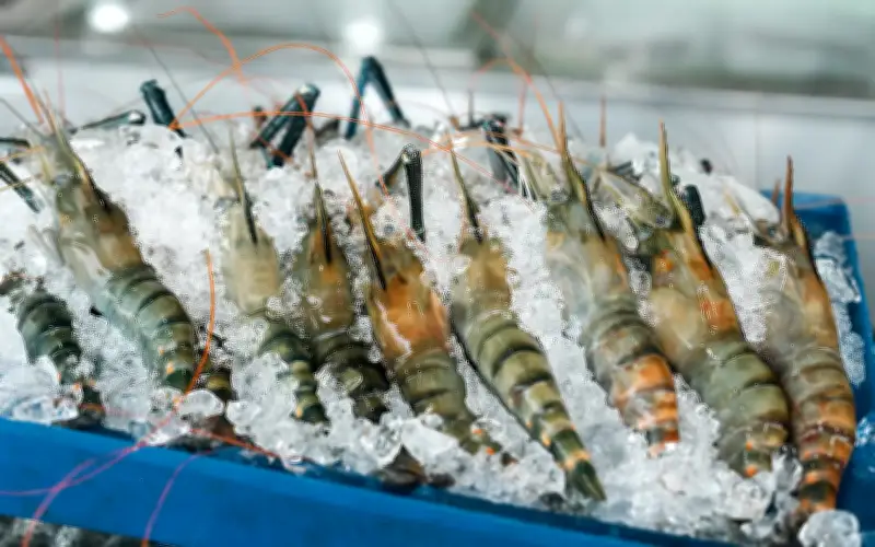 Thailand bawa isu import udang Malaysia ke WTO jika rundingan gagal