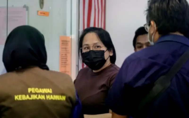 Wanita didakwa sebabkan kematian 41 ekor kucing, kebuluran 36 ekor